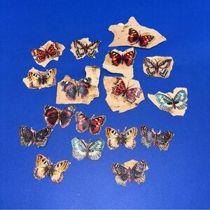 Victorian Butterflies Embossed Paper Cut Outs Detailed 2” X 1 1/2” Vibrant Color